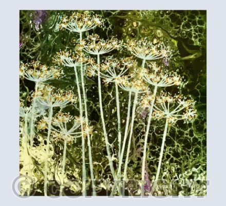 Seed Heads in Green