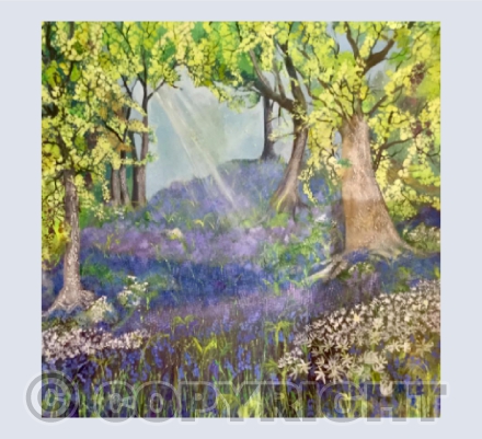 The Bluebell Woods