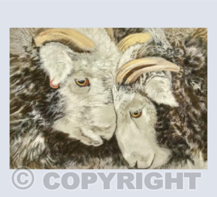 Herdies