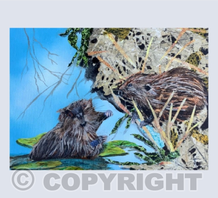 Beavers