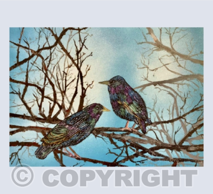 Starlings