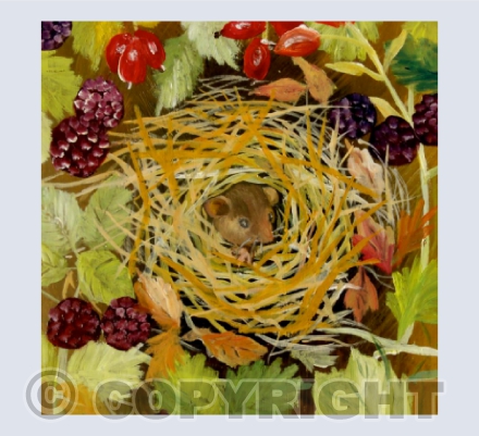 Autumn Dormouse