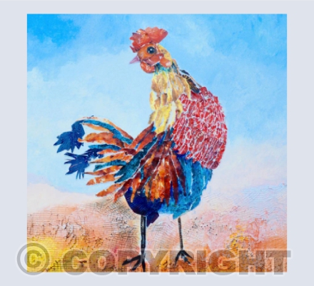 Cockerel