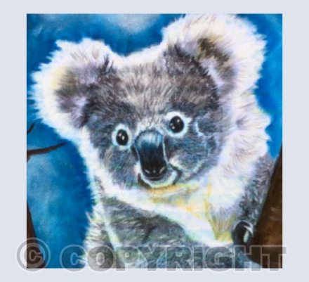 Koala