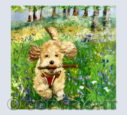 Peanut in the Bluebell Woods