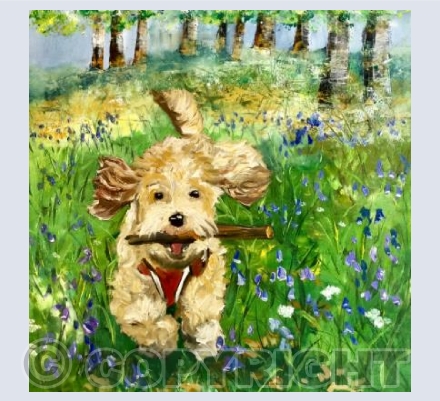 Running through the Bluebells