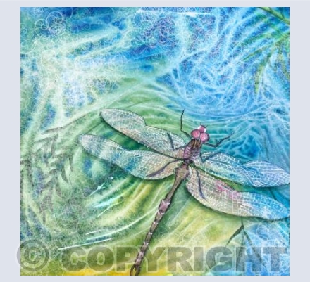 Dragonfly
