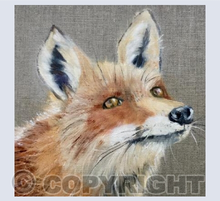 Mr Fox