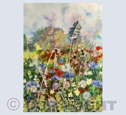 Wildflower Meadow