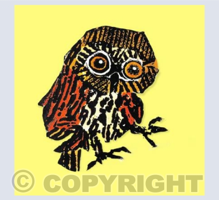 Little Owl