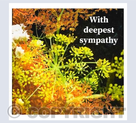 With Deepest Sympathy