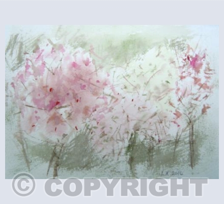 Trees in Blossom