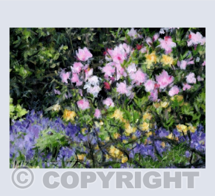 Riverhill Himalayan Gardens (Spring)