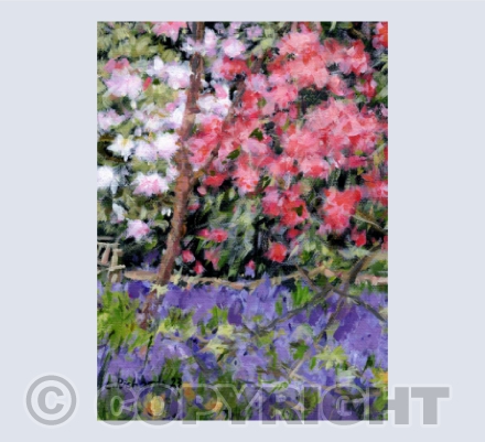 Spring, Riverhill Himalayan Gardens