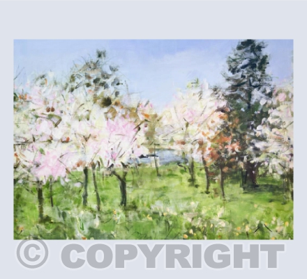 Blossom, Kelsey Park