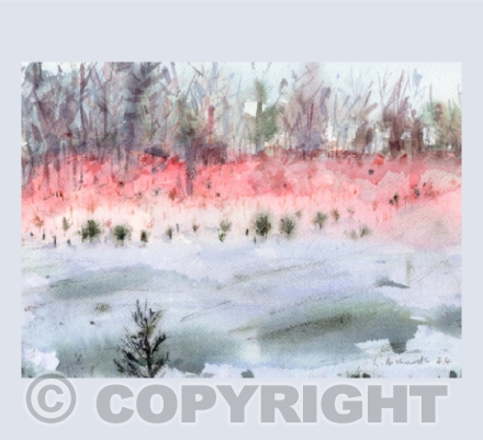 Snow Field, Sunset