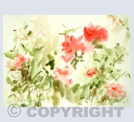 Rose Bush