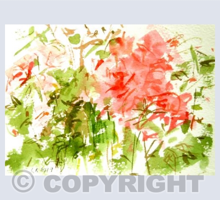 Rose Bush