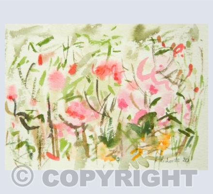 Rose beds in Kelsey Park