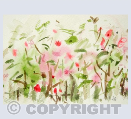 Rose Beds, Kelsey Park