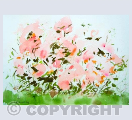 Pale Rose Bush
