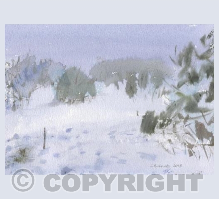 Winter, Beckenham Place Park