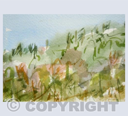 Hillside