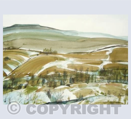 Hawthorns, Ashgillside (Winter)