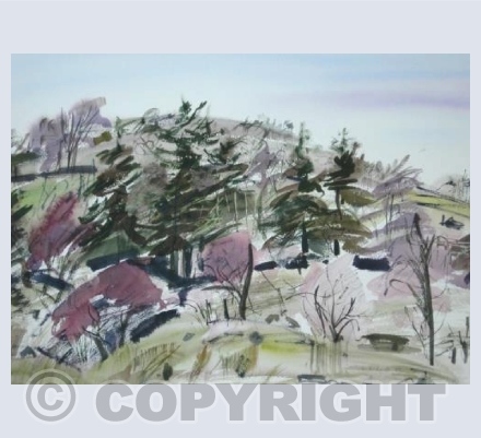 Summer in the South Tyne Valley