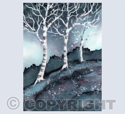 Stormy Birches