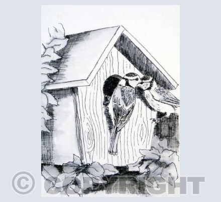 Birdhouse