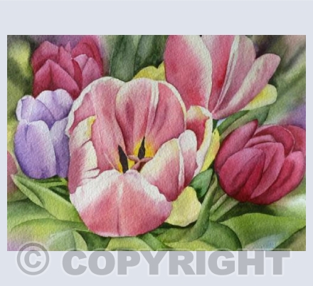 tulips