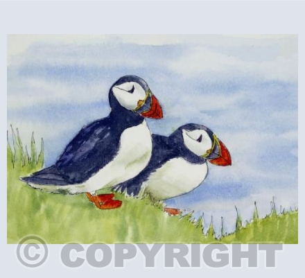 Puffin Pair