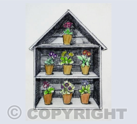 Auricula Theatre