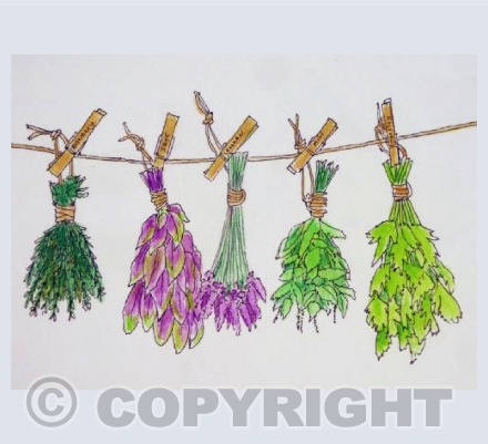 Herbs