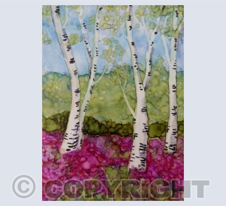 PinkBirches