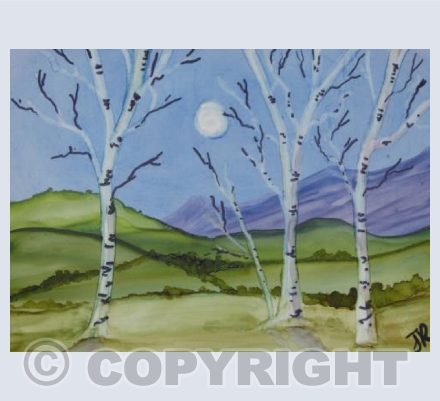 Birches by Moonlight