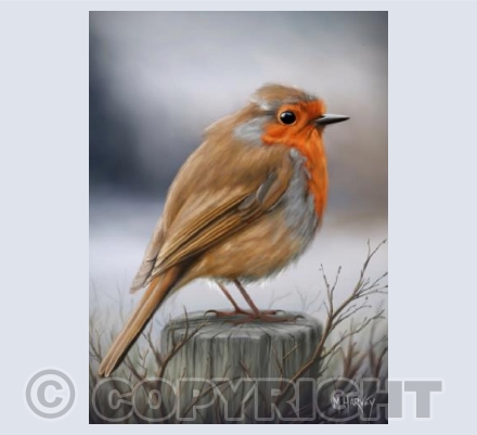 Winter Robin #2