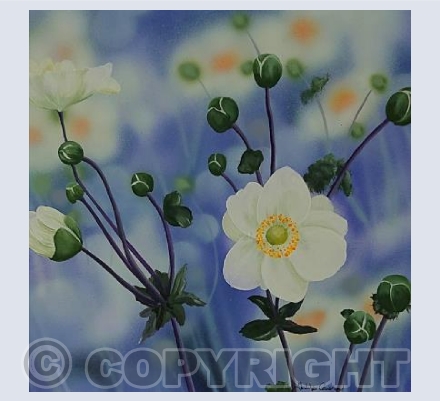 Oriental Anemone