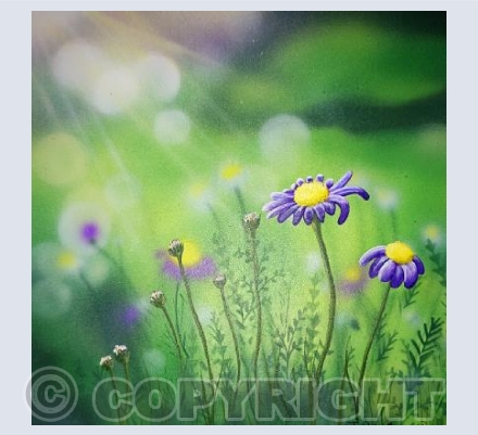 Purple Daisy