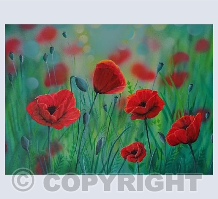 Poppy Meadow