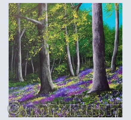 Bluebell Glade