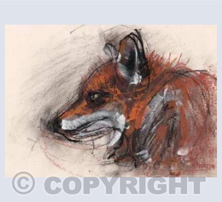 Mr. Fox card