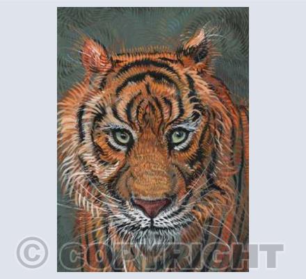 Tiger card