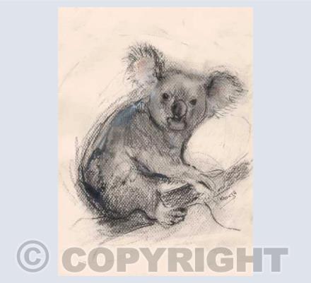 Koala card