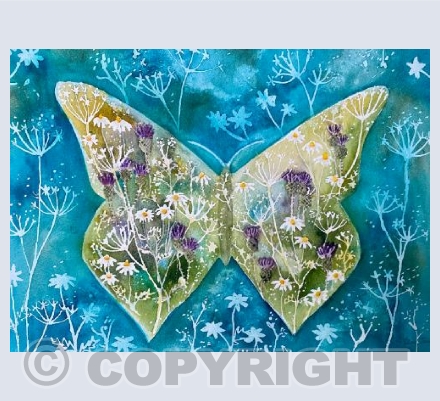 Butterfly