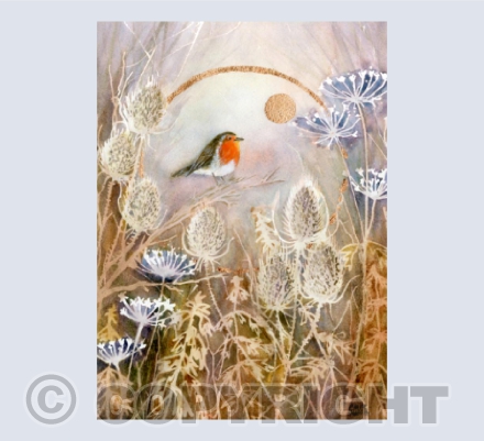 Close by me - little Robin