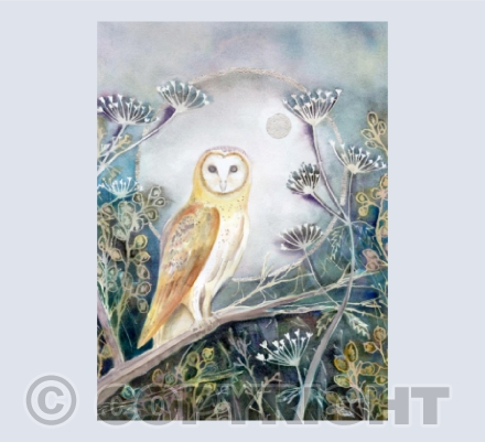 The Night Owl