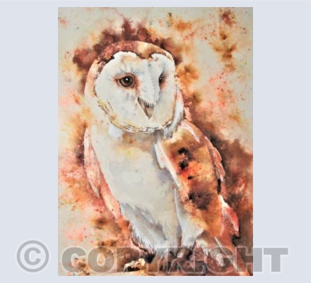 Musing owl