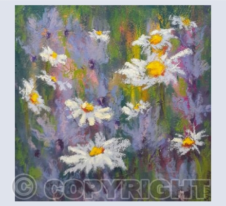 Daisies and Lavender
